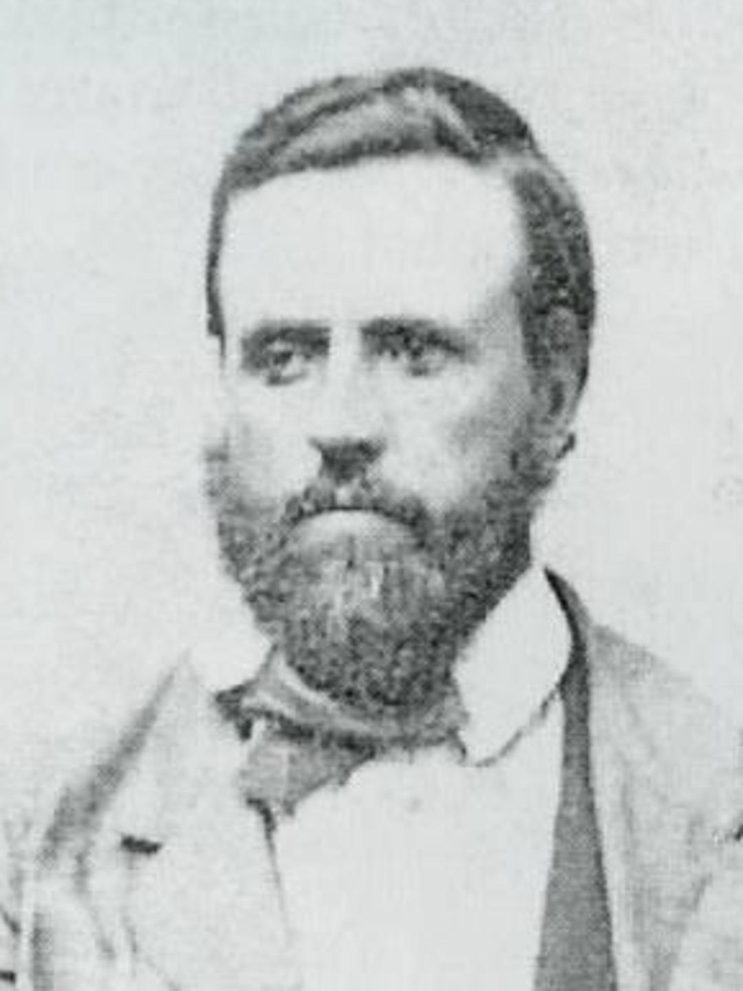 Rees Llewellyn (1828 - 1905) Profile